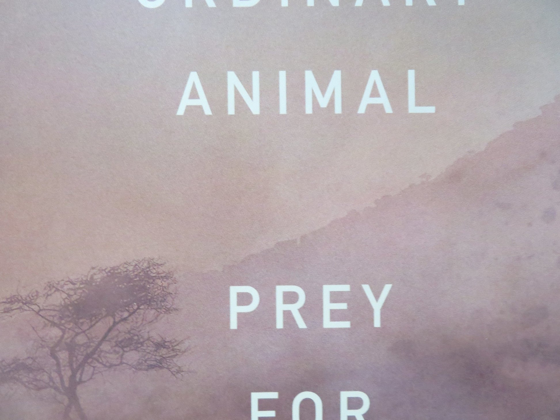 BEAST UK QUAD ROLLED POSTER IDRIS ELBA LIYABUYA GONGO 2022 Rendezvous Cinema Movie posters