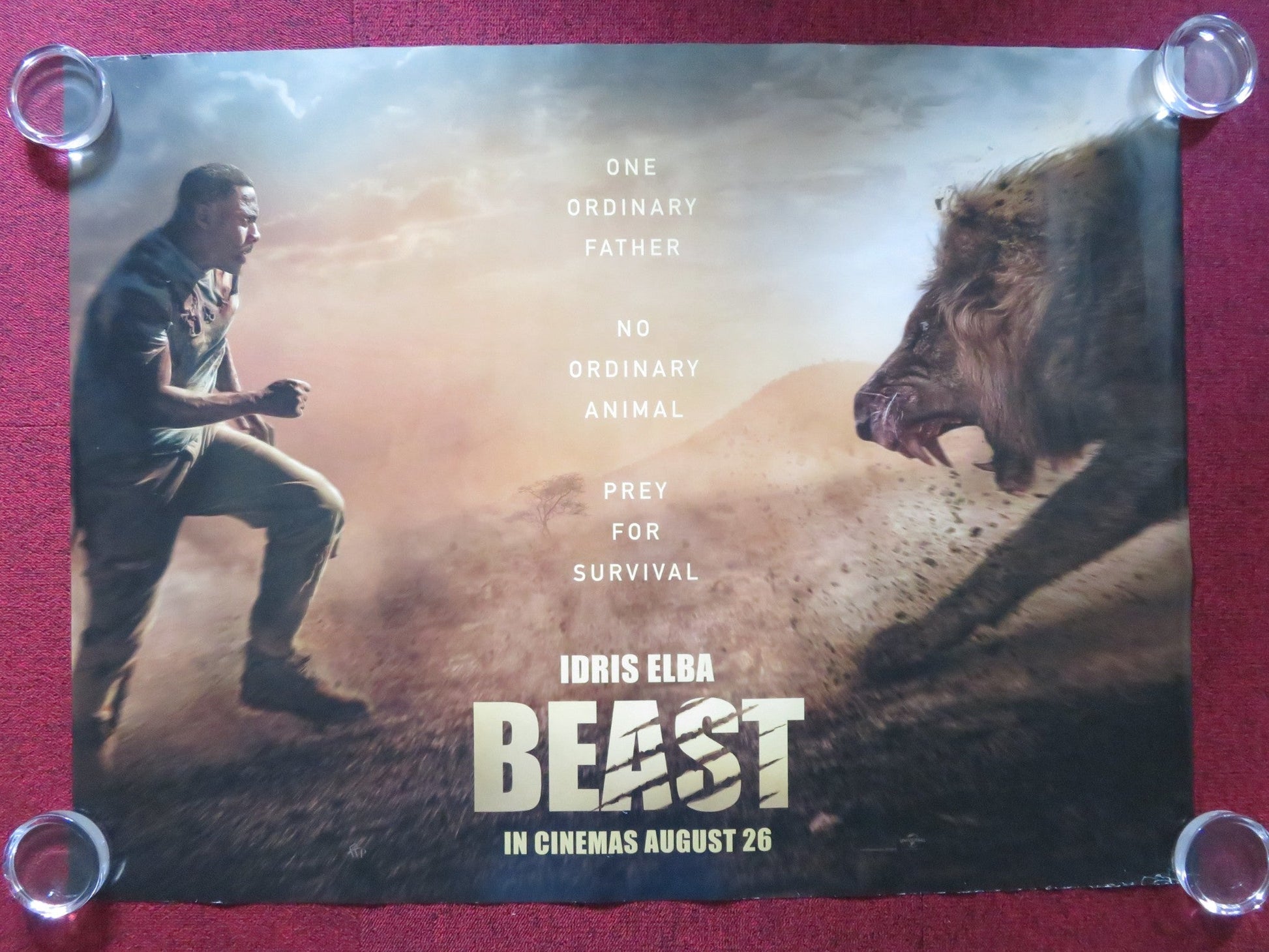 BEAST UK QUAD ROLLED POSTER IDRIS ELBA LIYABUYA GONGO 2022 Rendezvous Cinema Movie posters
