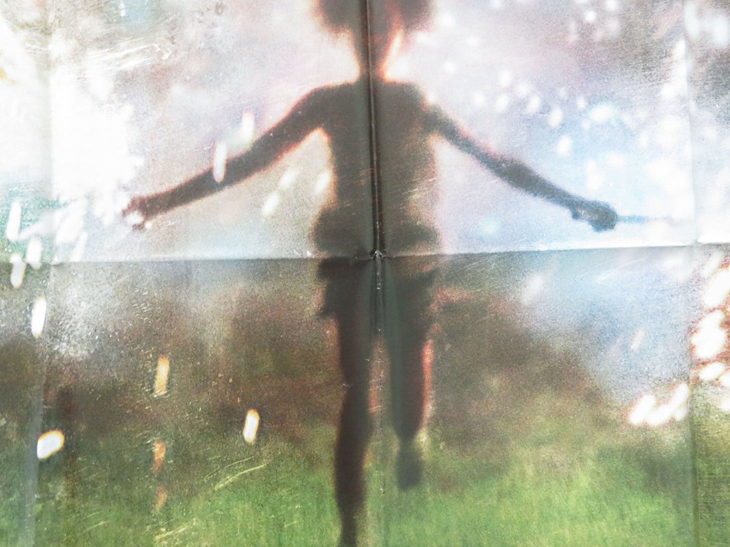 Beasts of the Southern Wild French Grande Poster Quvenzhané Wallis 2012 Movie posters