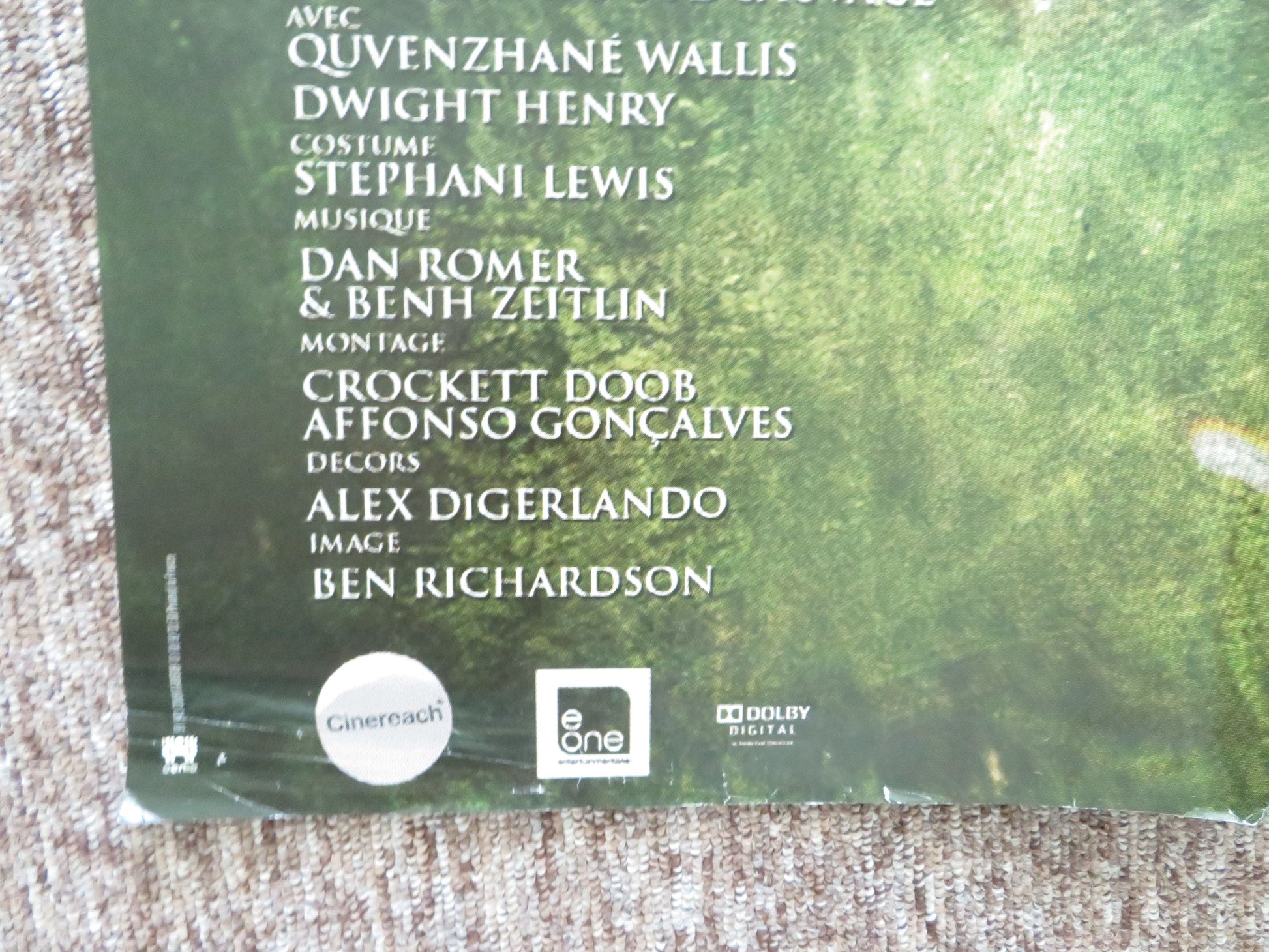Beasts of the Southern Wild French Grande Poster Quvenzhané Wallis 2012 Movie posters