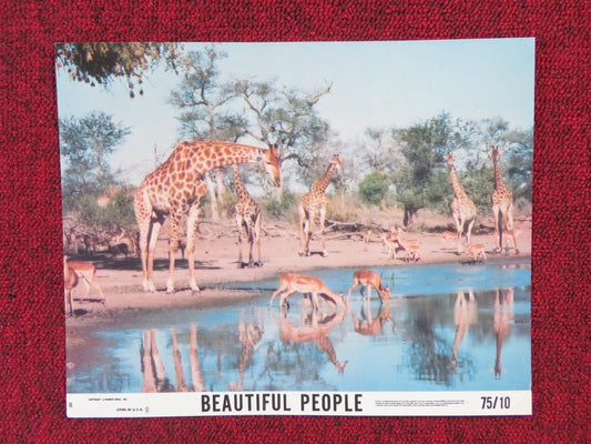 BEAUTIFUL PEOPLE - 8 LOBBY CARD PADDY O'BYRNE 1974 Rendezvous Cinema Movie posters