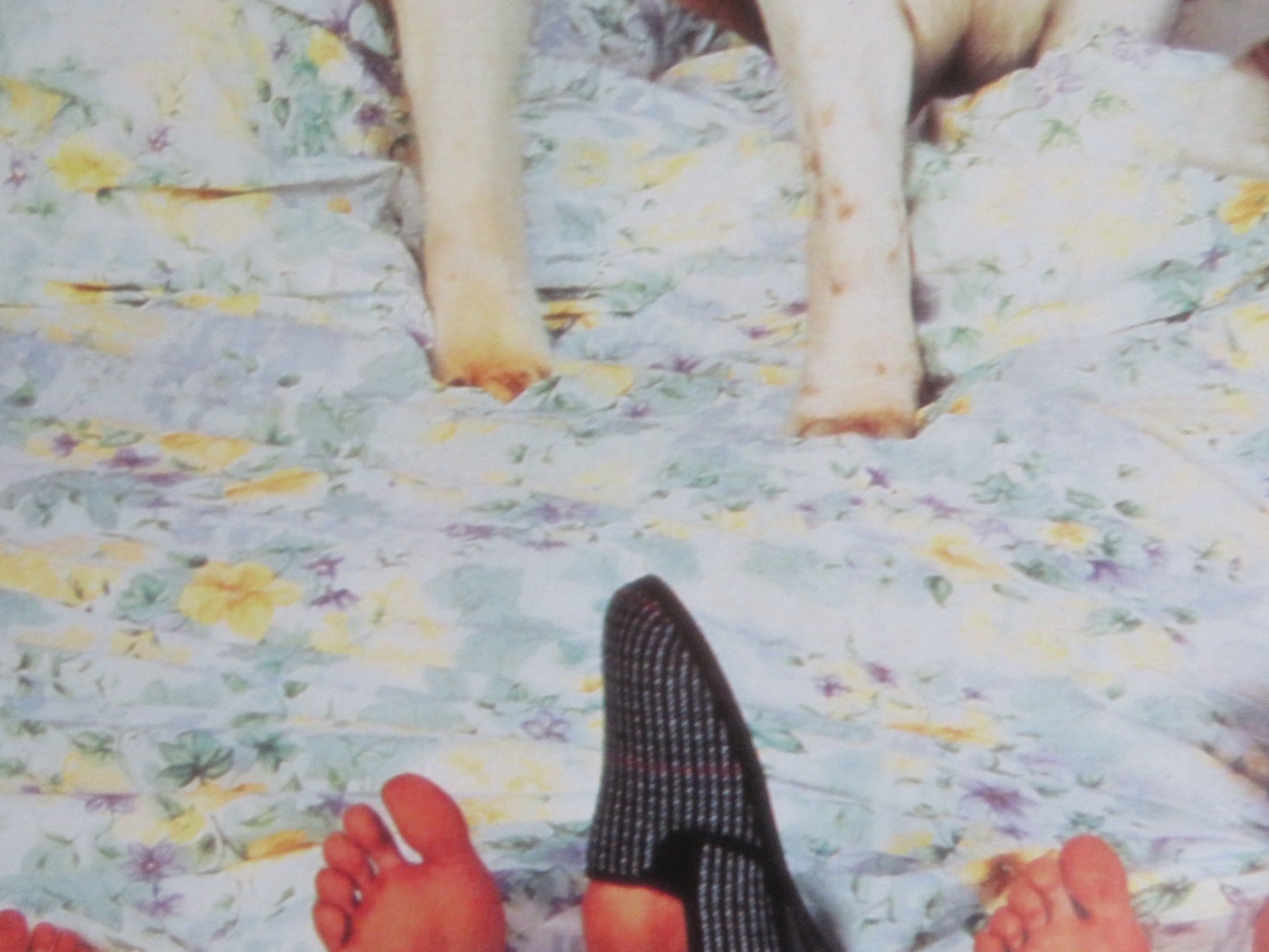 BEETHOVEN'S 2ND VHS VIDEO POSTER CHARLES GRODIN BONNIE HUNT 1993 Rendezvous Cinema Movie posters