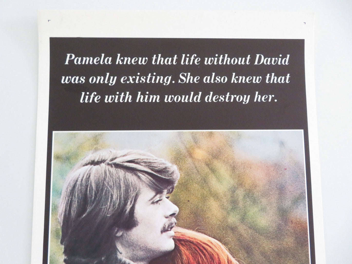 Believe in Me US Insert Poster Michael Sarrazin Jacqueline Bisset 1971 Movie posters