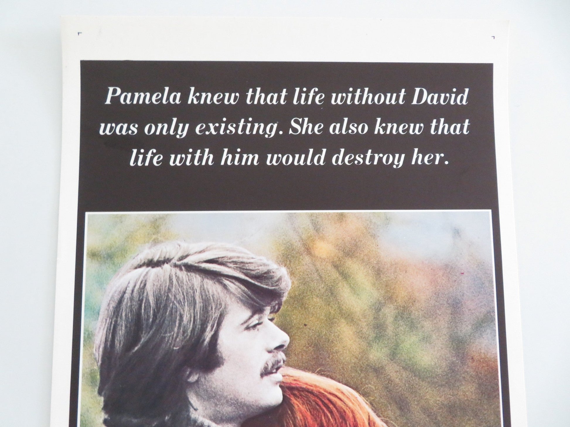 Believe in Me US Insert Poster Michael Sarrazin Jacqueline Bisset 1971 Movie posters