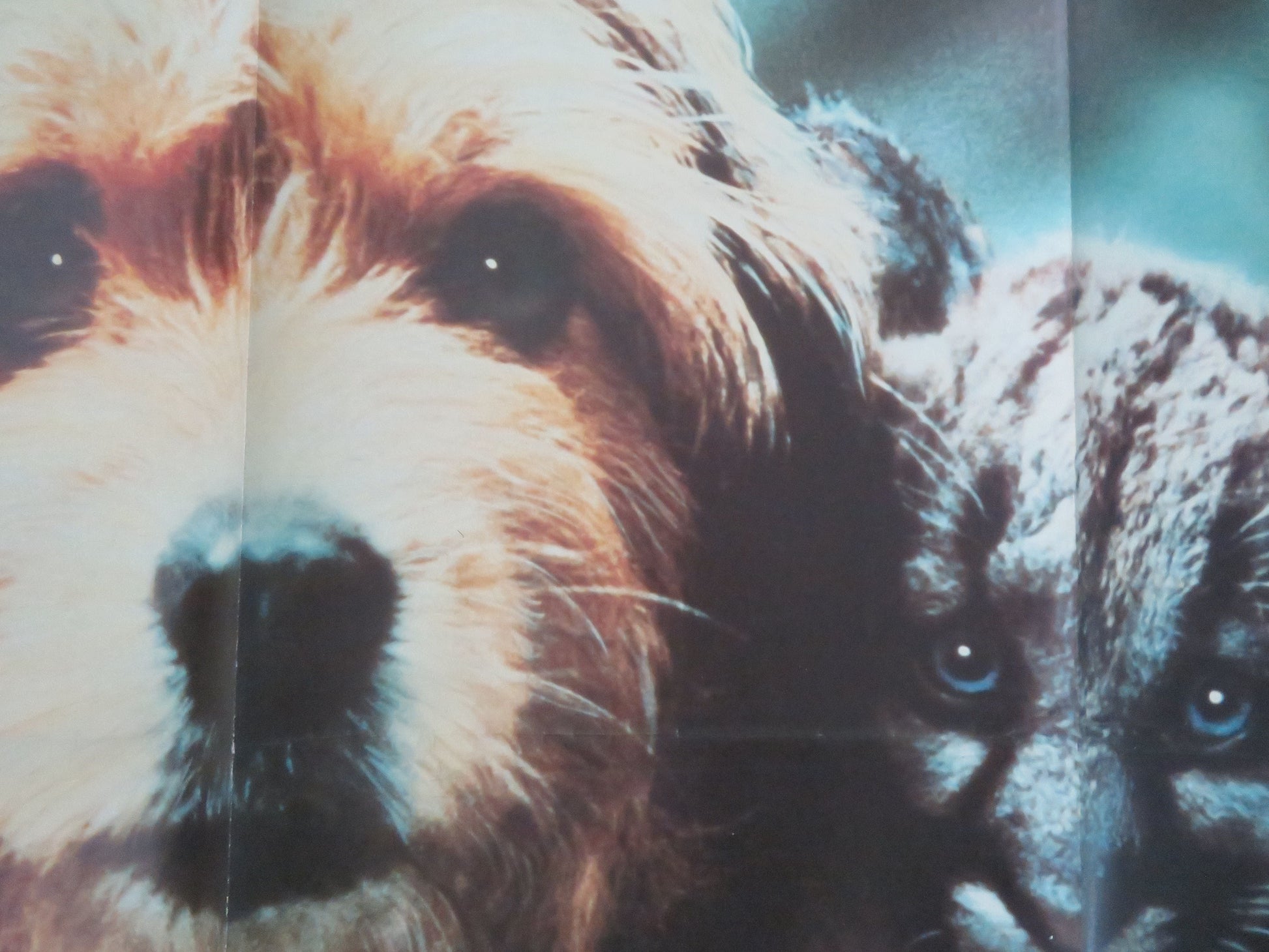 Benji the Hunted UK Quad Rolled Poster Disney Frank Inn Red Steagall 1987 Movie posters