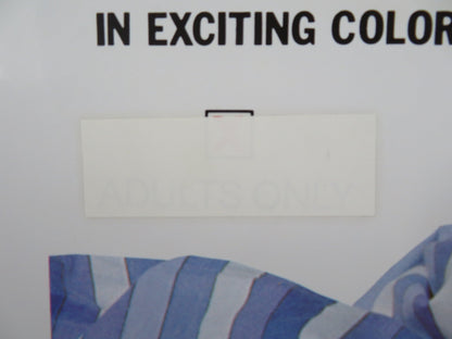 BETWEEN THE COVERS FOLDED US ONE SHEET POSTER HEIDI KAPPLER HANKAMMER 1974 Rendezvous Cinema Movie posters