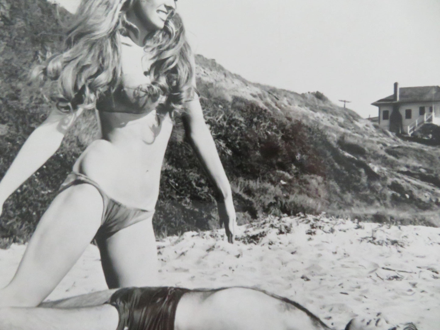 BEYOND THE VALLEY OF THE DOLLS - A MOVIE STILL PHOTO DOLLY READ C. MYERS 1970 Movie posters