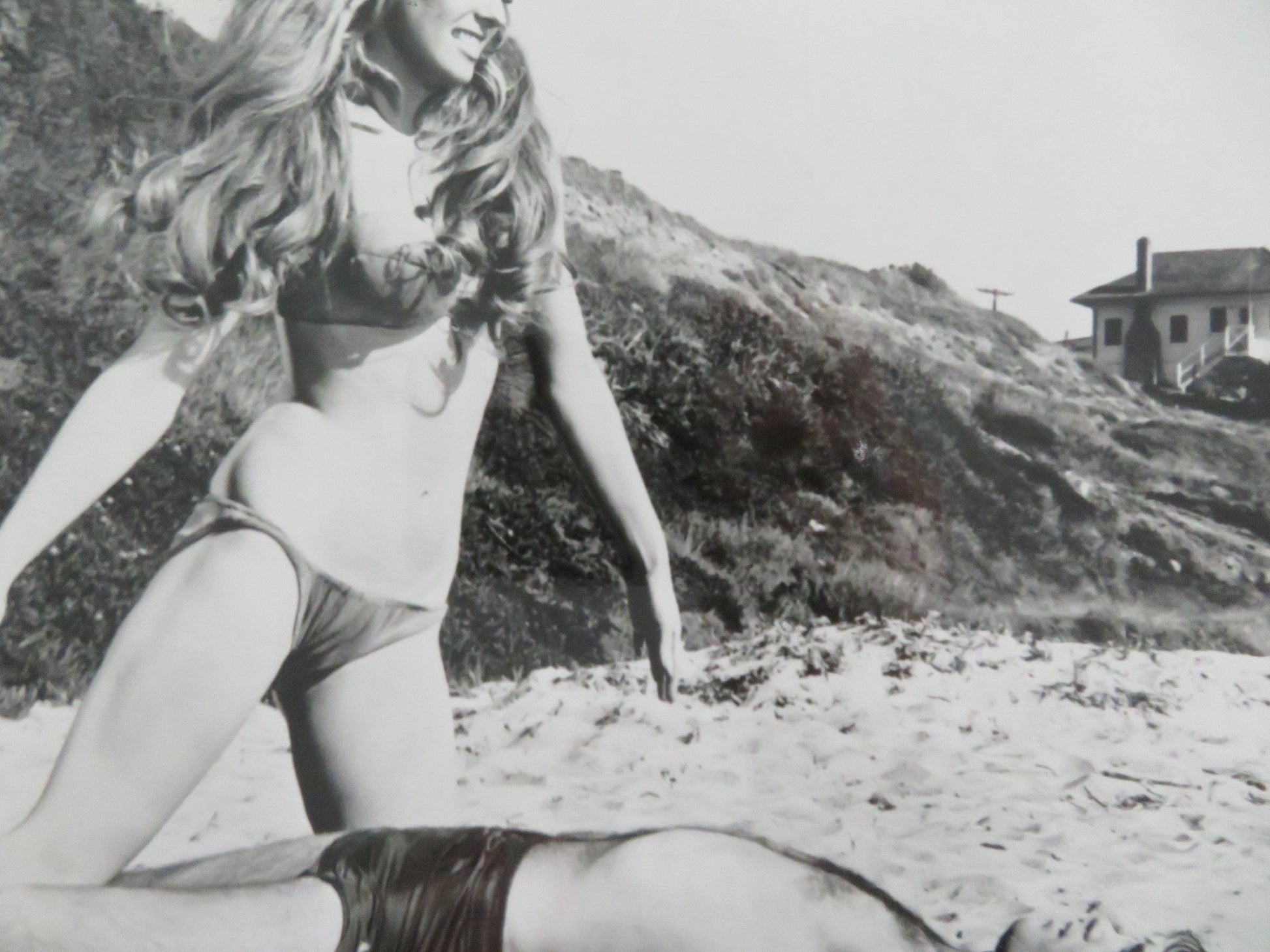 BEYOND THE VALLEY OF THE DOLLS - A MOVIE STILL PHOTO DOLLY READ C. MYERS 1970 Movie posters