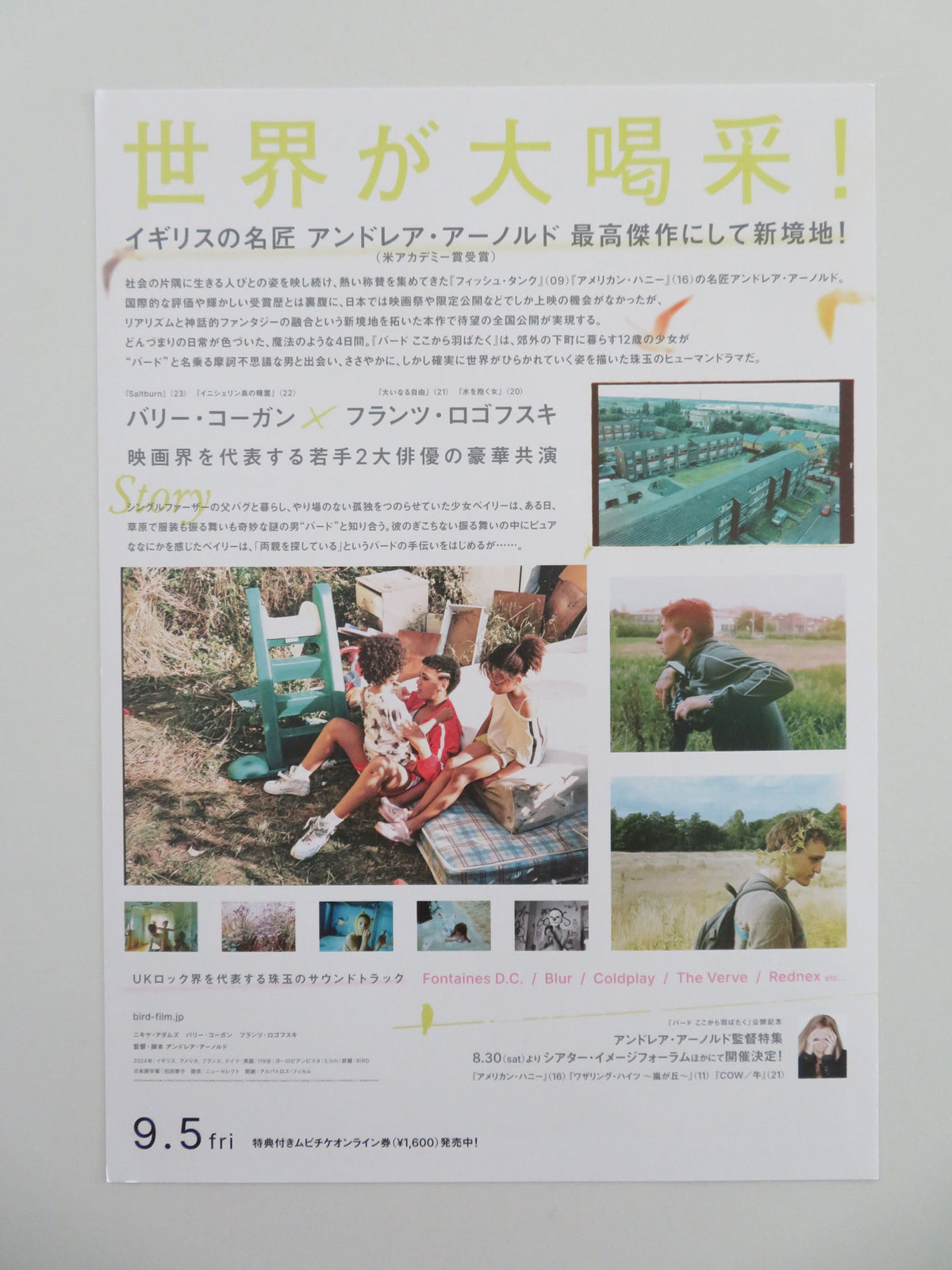 Bird - B Japanese Chirashi (B5) Poster Barry Keoghan Nykiya Adams 2024 Movie posters