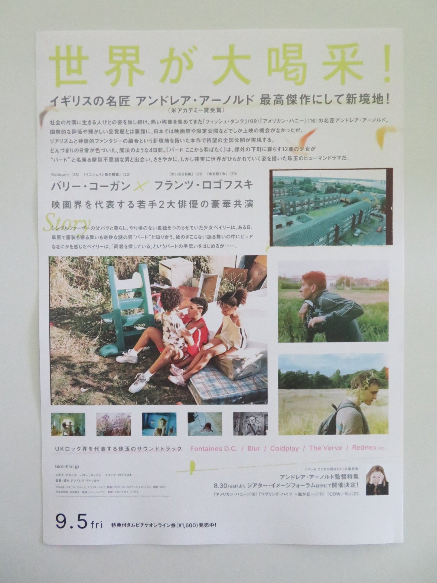 BIRD - B JAPANESE CHIRASHI (B5) POSTER NYKIYA ADAMS FRANZ ROGOWSKI KEOGHAN 2024 Movie posters