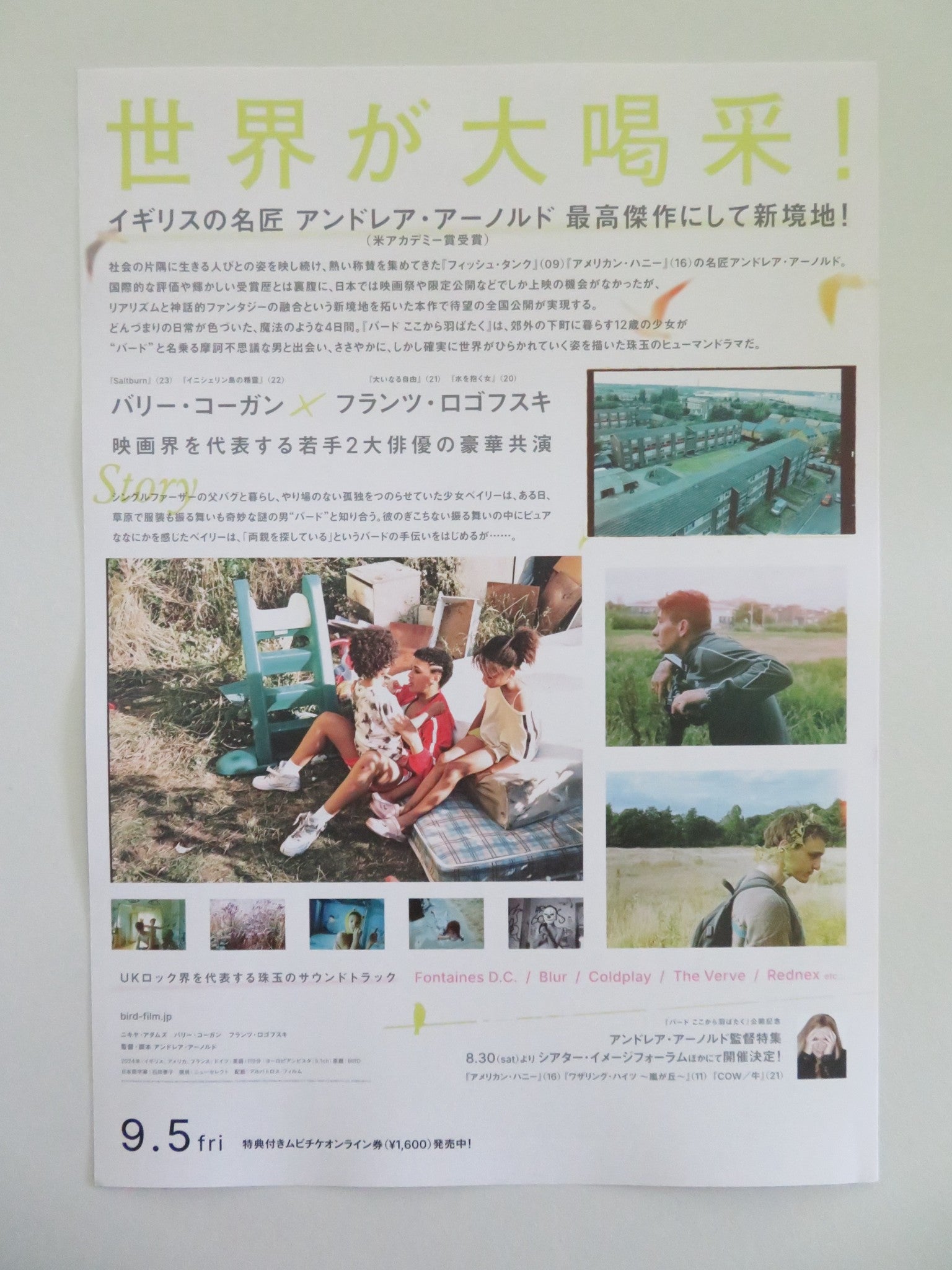 BIRD - B JAPANESE CHIRASHI (B5) POSTER NYKIYA ADAMS FRANZ ROGOWSKI KEOGHAN 2024 Movie posters