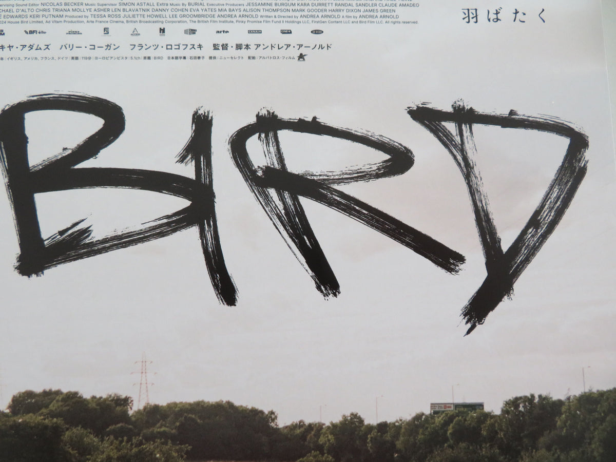 Bird - C Japanese Chirashi (B5) Poster Barry Keoghan Nykiya Adams 2024 Movie posters