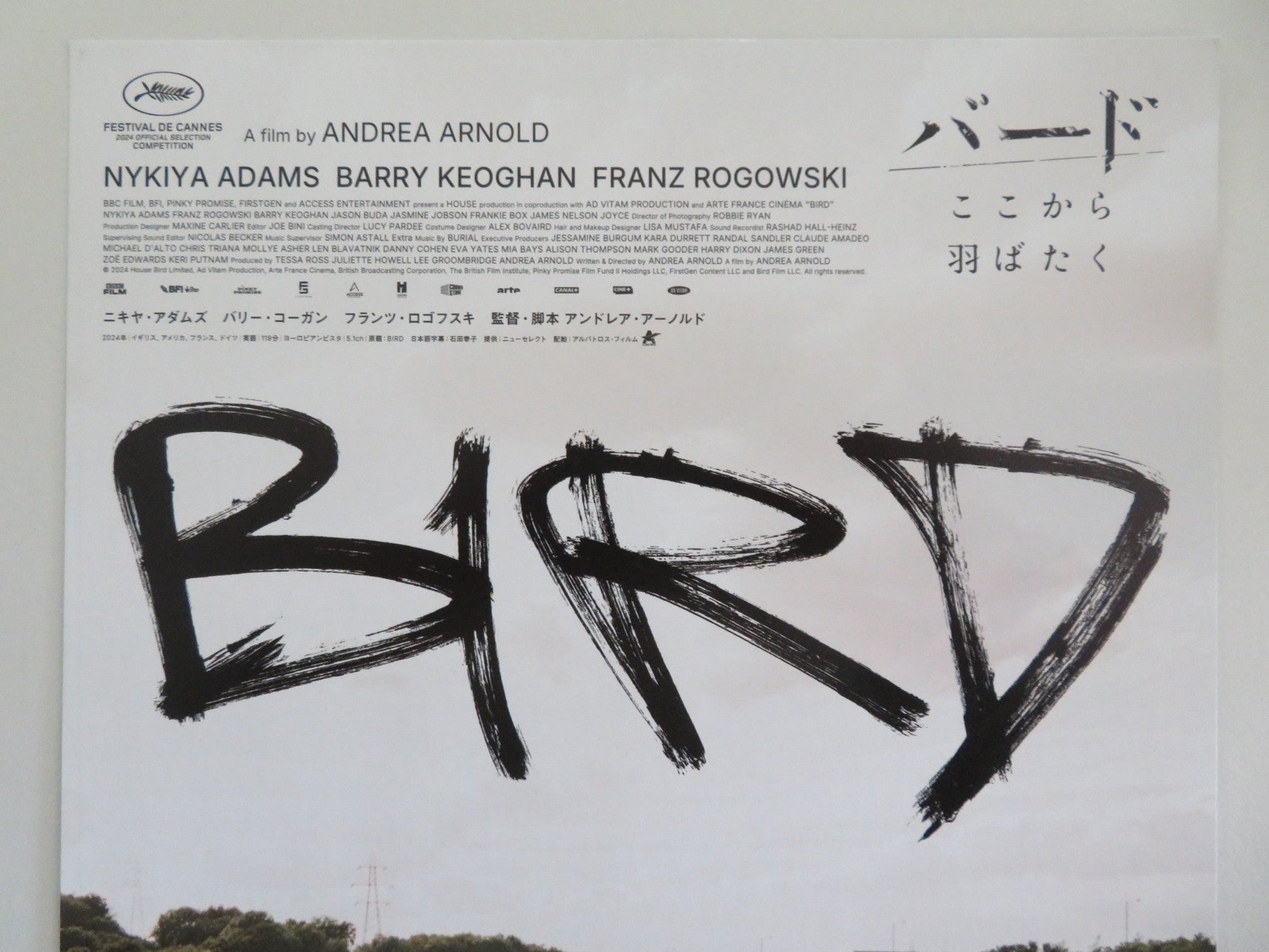 BIRD - C JAPANESE CHIRASHI (B5) POSTER NYKIYA ADAMS FRANZ ROGOWSKI KEOGHAN 2024 Movie posters