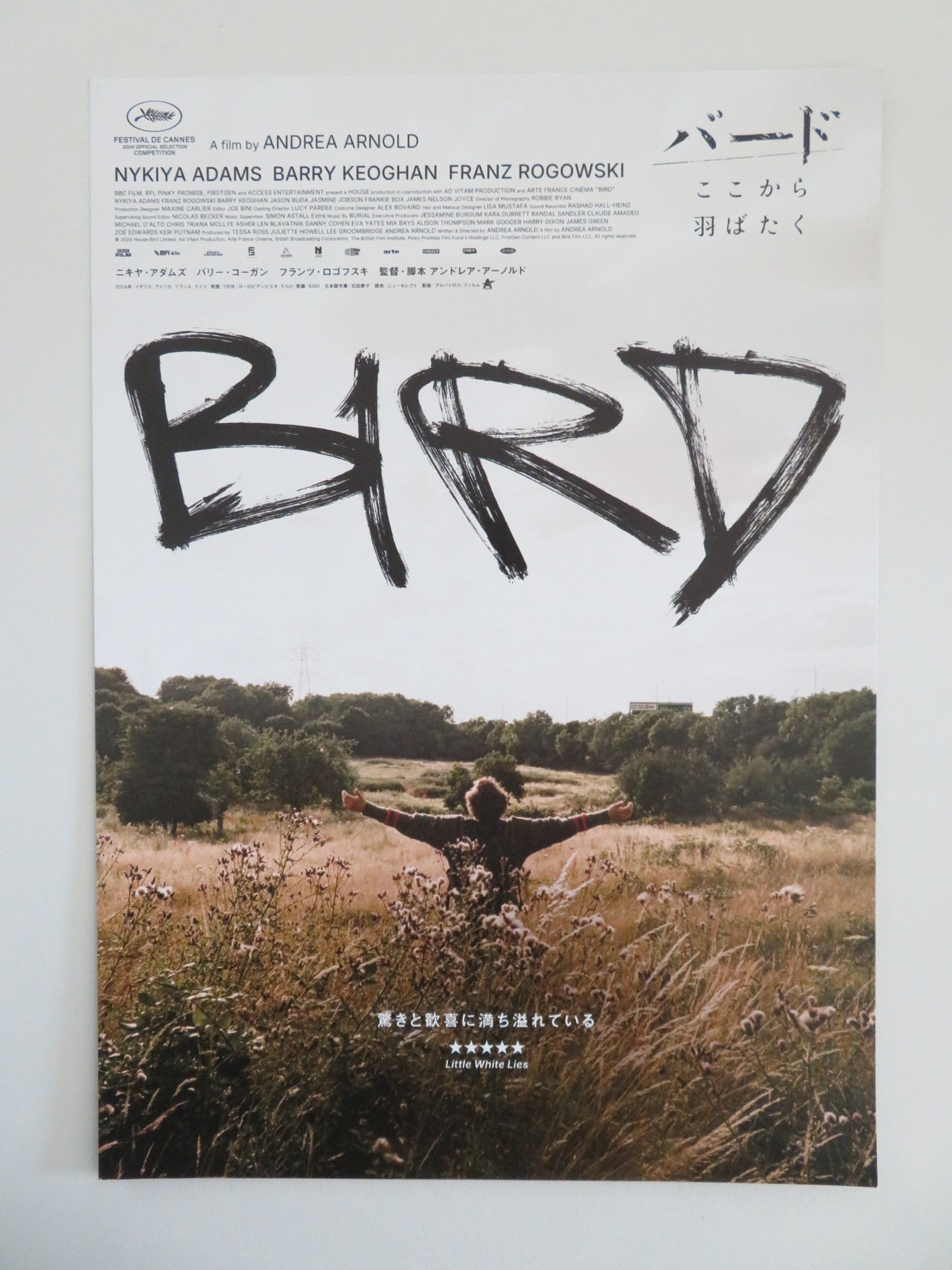 BIRD - C JAPANESE CHIRASHI (B5) POSTER NYKIYA ADAMS FRANZ ROGOWSKI KEOGHAN 2024 Movie posters