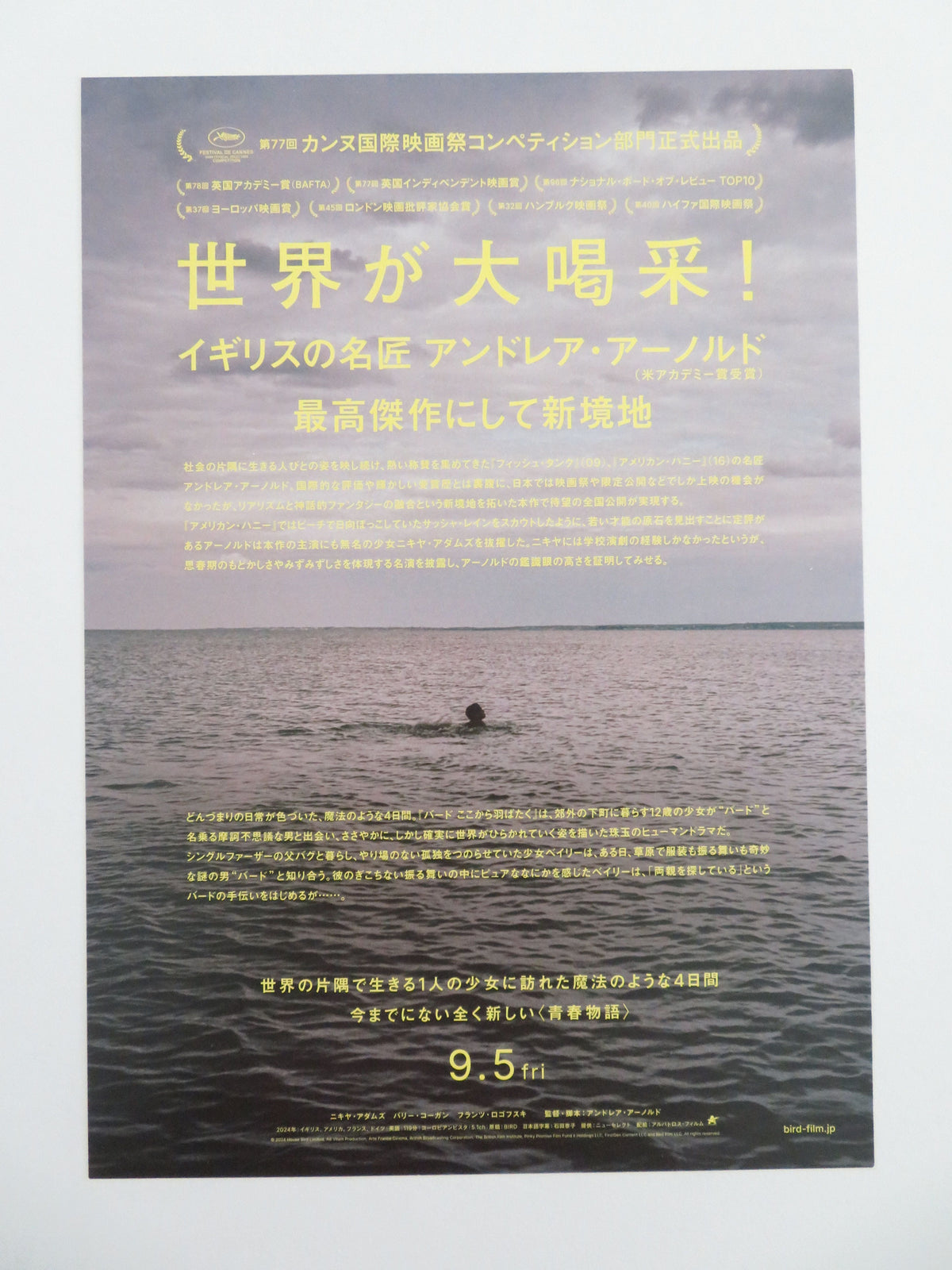 Bird Japanese Chirashi (B5) Poster Barry Keoghan Nykiya Adams 2024 Movie posters