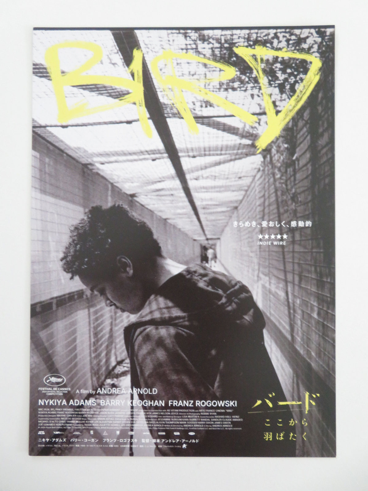 Bird Japanese Chirashi (B5) Poster Barry Keoghan Nykiya Adams 2024 Movie posters