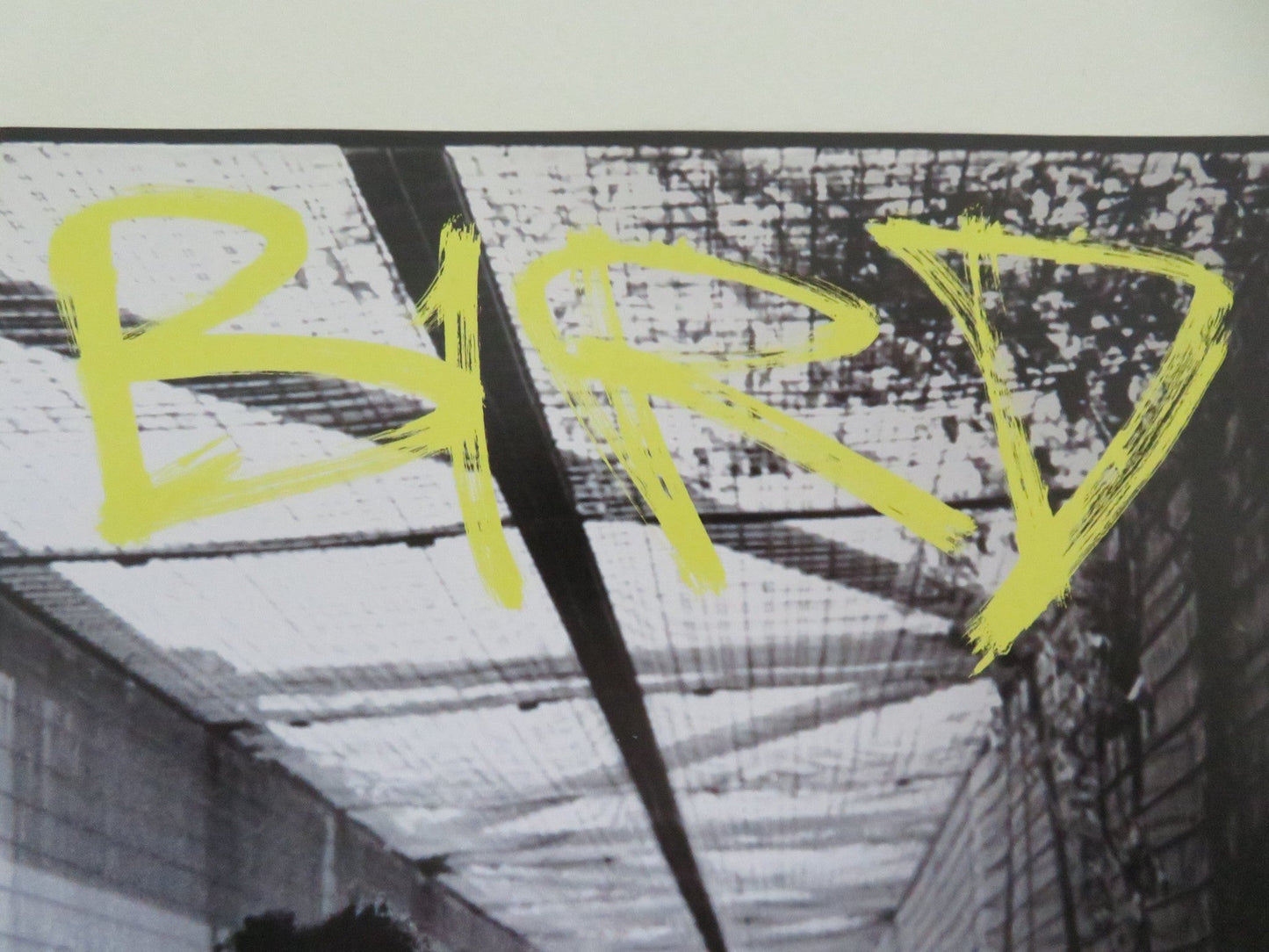 BIRD JAPANESE CHIRASHI (B5) POSTER NYKIYA ADAMS FRANZ ROGOWSKI KEOGHAN 2024 Movie posters