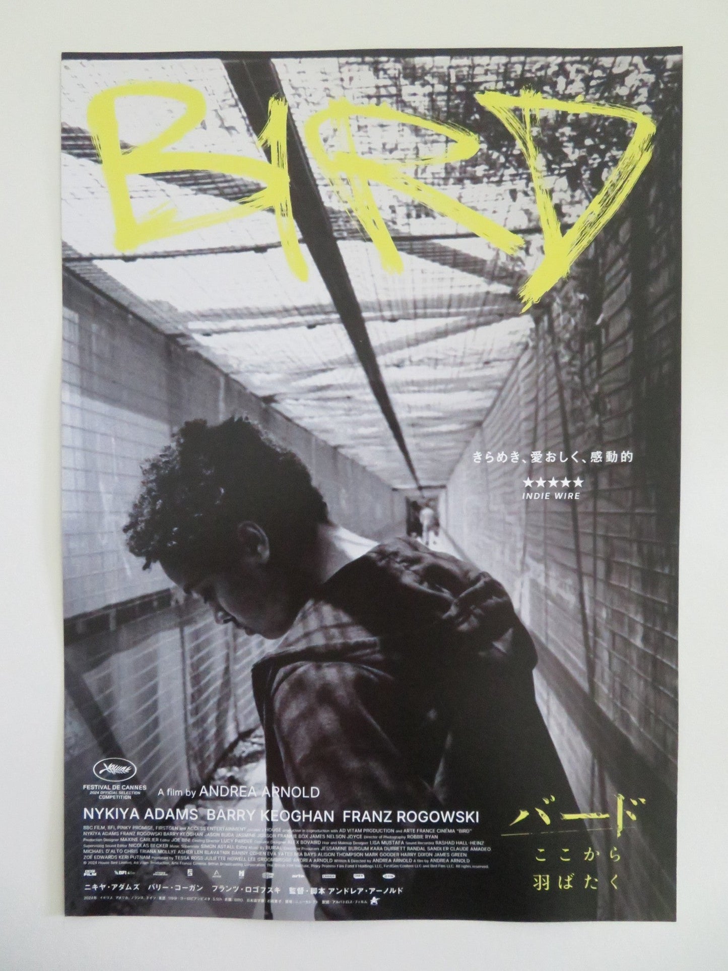 BIRD JAPANESE CHIRASHI (B5) POSTER NYKIYA ADAMS FRANZ ROGOWSKI KEOGHAN 2024 Movie posters