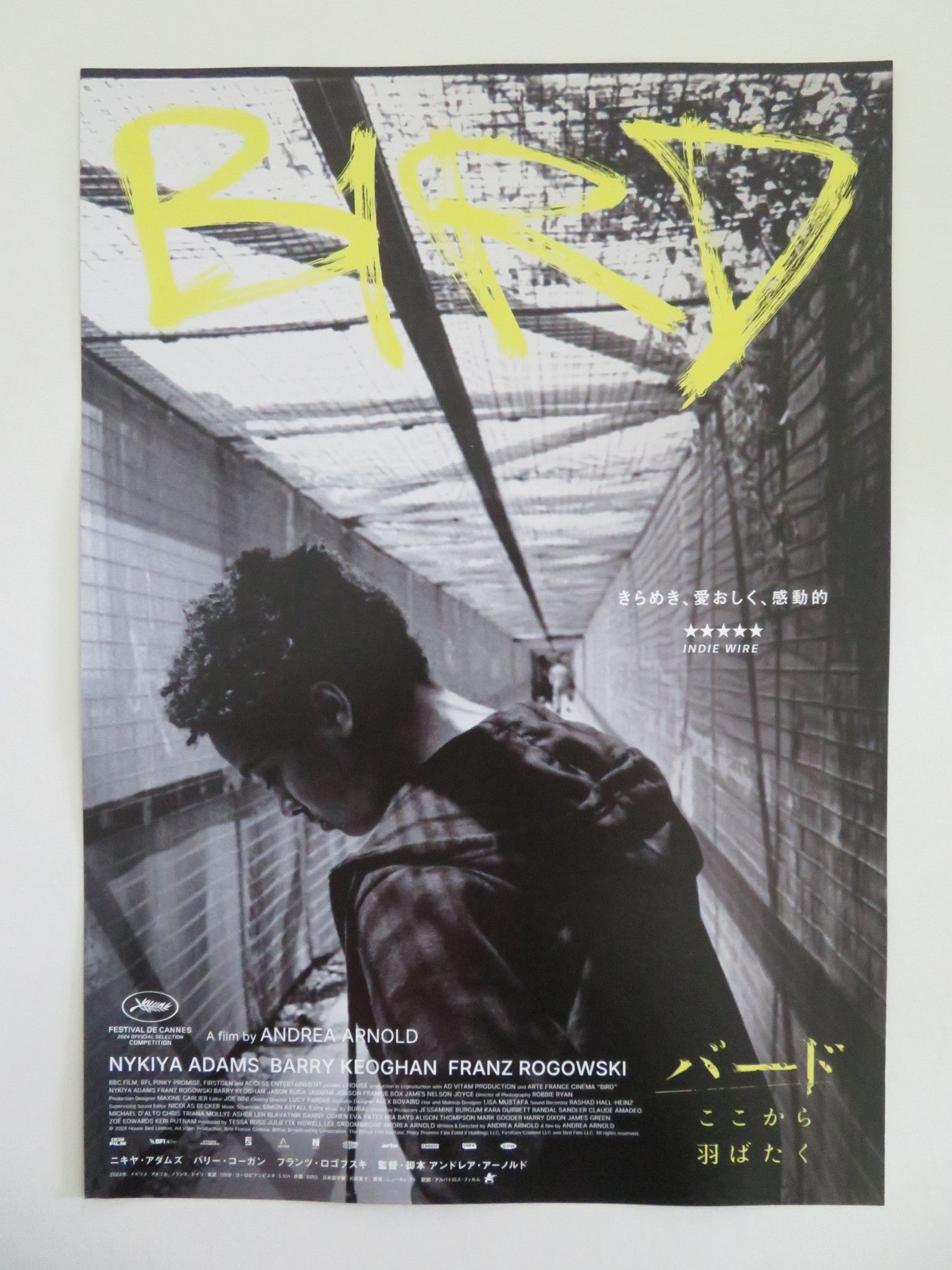 BIRD JAPANESE CHIRASHI (B5) POSTER NYKIYA ADAMS FRANZ ROGOWSKI KEOGHAN 2024 Movie posters