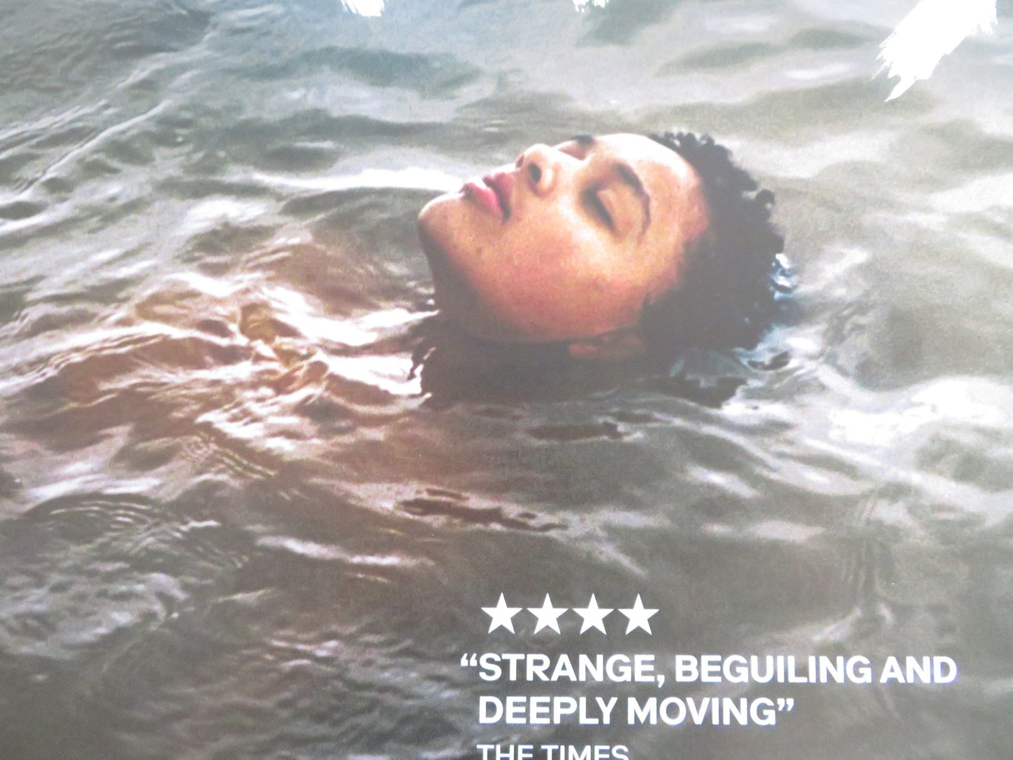 BIRD UK QUAD ROLLED POSTER BARRY KEOGHAN NYKIYA ADAMS 2024 Rendezvous Cinema Movie posters