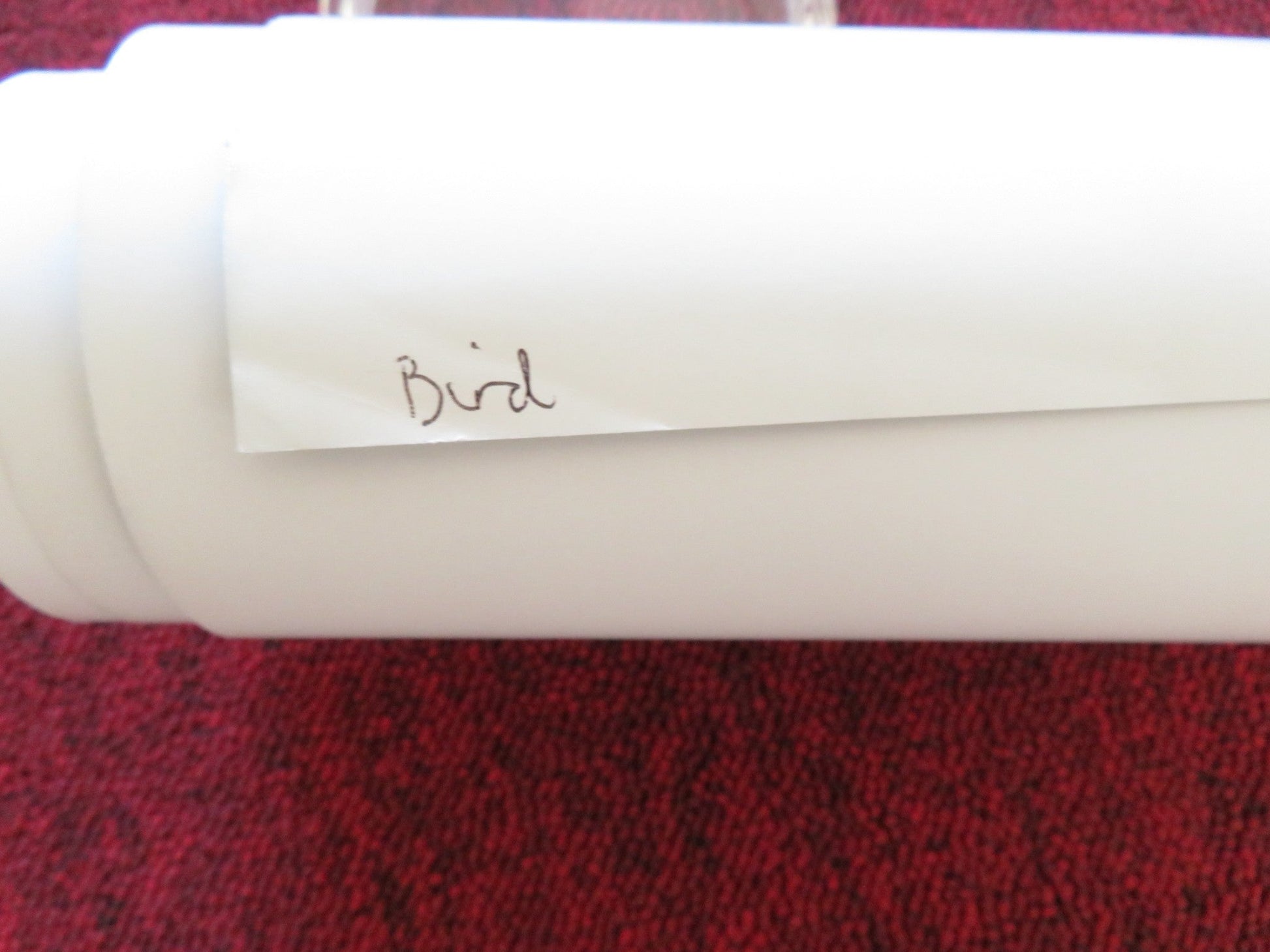 BIRD UK QUAD ROLLED POSTER BARRY KEOGHAN NYKIYA ADAMS 2024 Rendezvous Cinema Movie posters