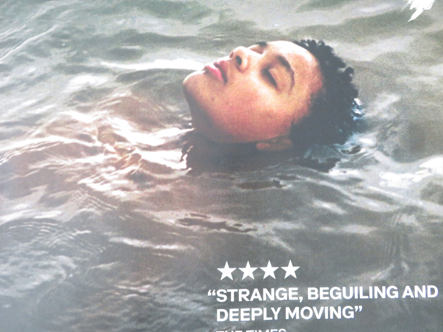Bird UK Quad Rolled Poster Barry Keoghan Nykiya Adams Franz Rogowski 2024 Movie posters