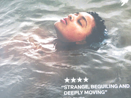 Bird UK Quad Rolled Poster Barry Keoghan Nykiya Adams Franz Rogowski 2024 Movie posters