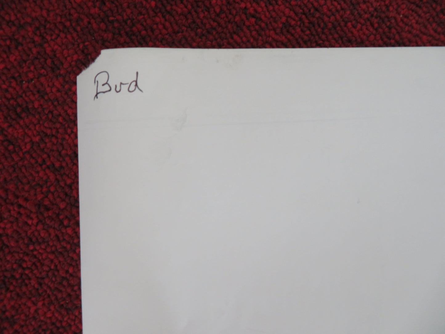 Bird UK Quad Rolled Poster Barry Keoghan Nykiya Adams Franz Rogowski 2024 Movie posters