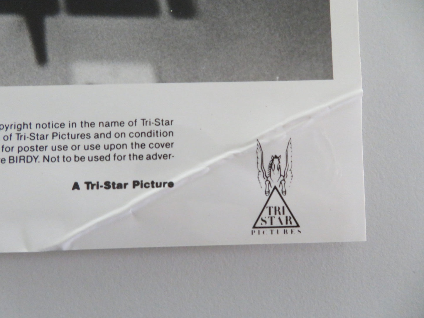 BIRDY MOVIE STILL PHOTO MATTHEW MODINE NICOLAS CAGE 1984 Movie posters