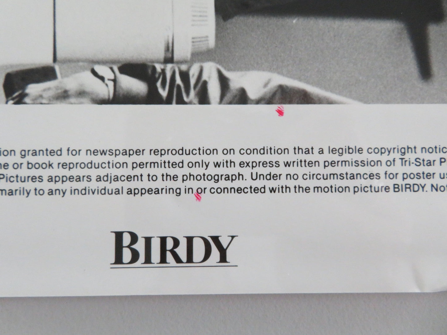 BIRDY MOVIE STILL PHOTO MATTHEW MODINE NICOLAS CAGE 1984 Movie posters