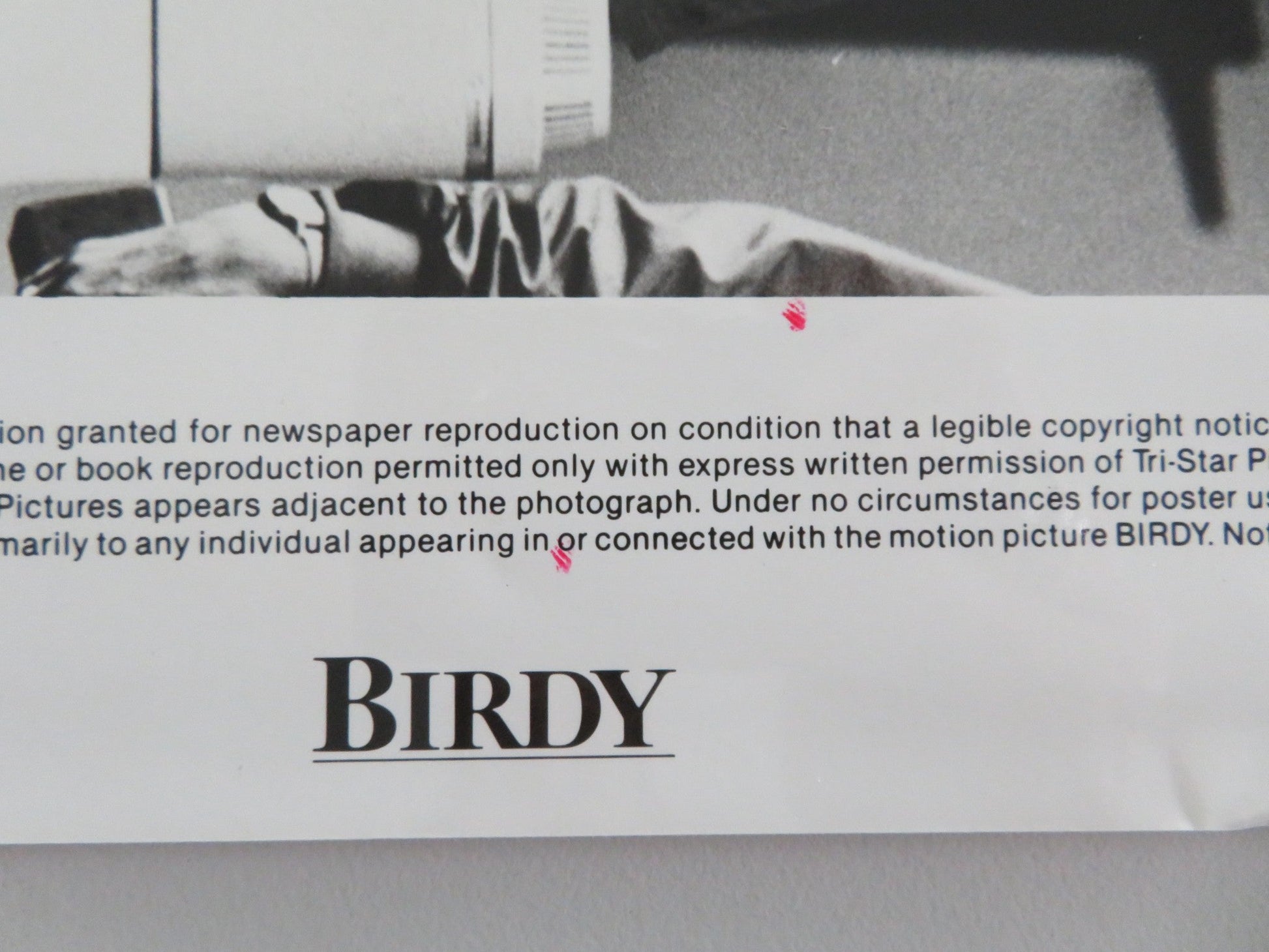 BIRDY MOVIE STILL PHOTO MATTHEW MODINE NICOLAS CAGE 1984 Movie posters