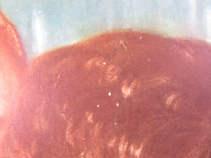 BLACK 13 US INSERT POSTER PETER REYNOLDS RONA ANDERSON 1954 Rendezvous Cinema Movie posters