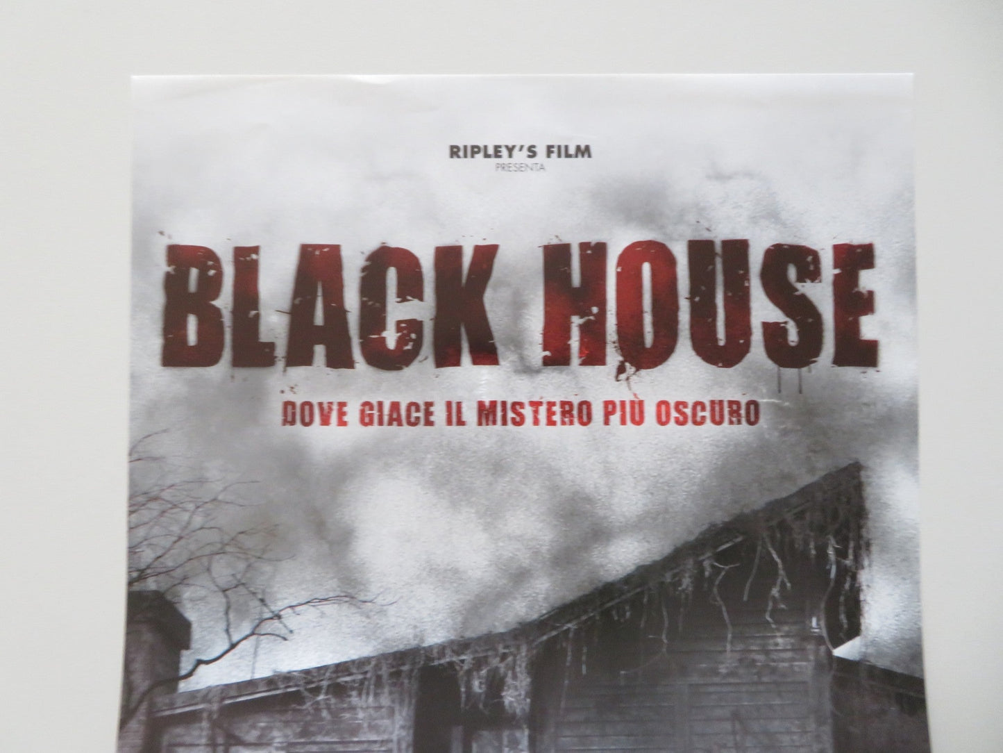 Black House ITALIAN LOCANDINA POSTER HWANG JUNG - MIN YOO SEON 2007 Movie posters