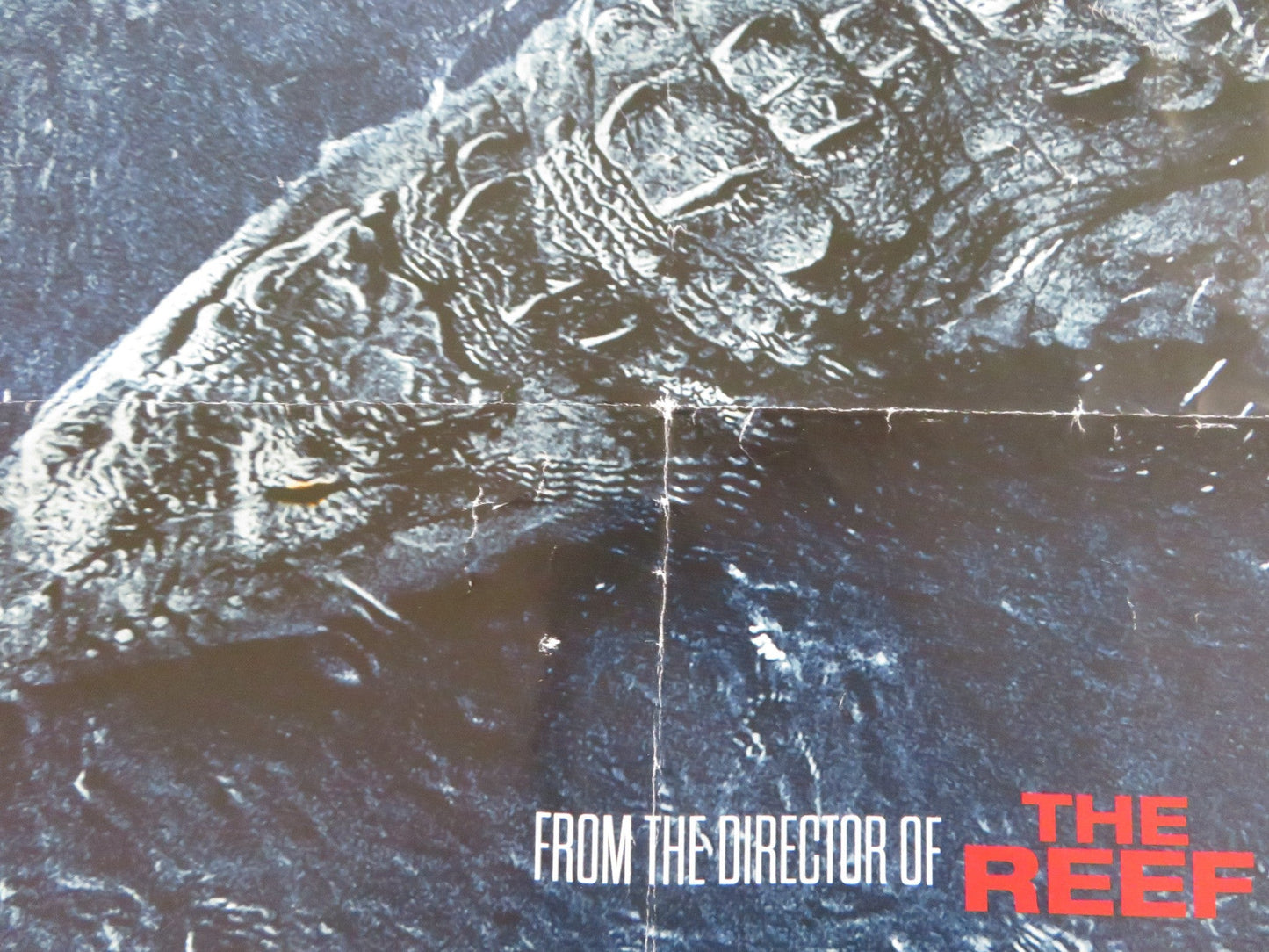 BLACK WATER: ABYSS UK QUAD ROLLED POSTER JESSICA MCNAMEE LUKE MITCHELL 2020 Rendezvous Cinema Movie posters