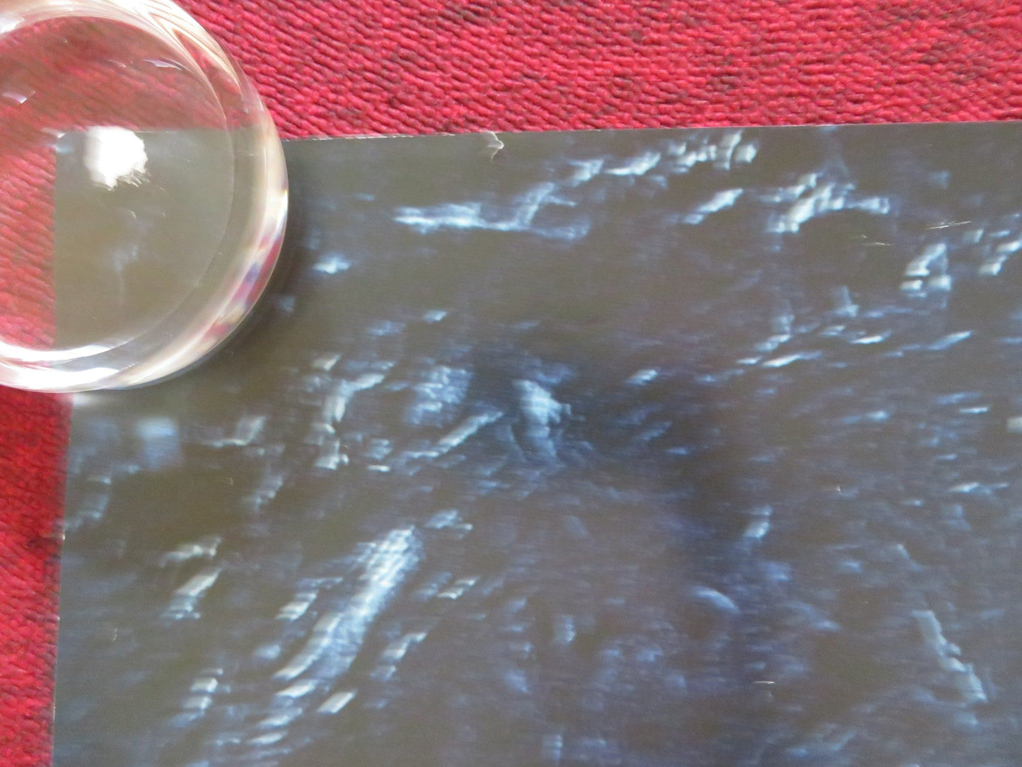 BLACK WATER: ABYSS UK QUAD ROLLED POSTER JESSICA MCNAMEE LUKE MITCHELL 2020 Rendezvous Cinema Movie posters