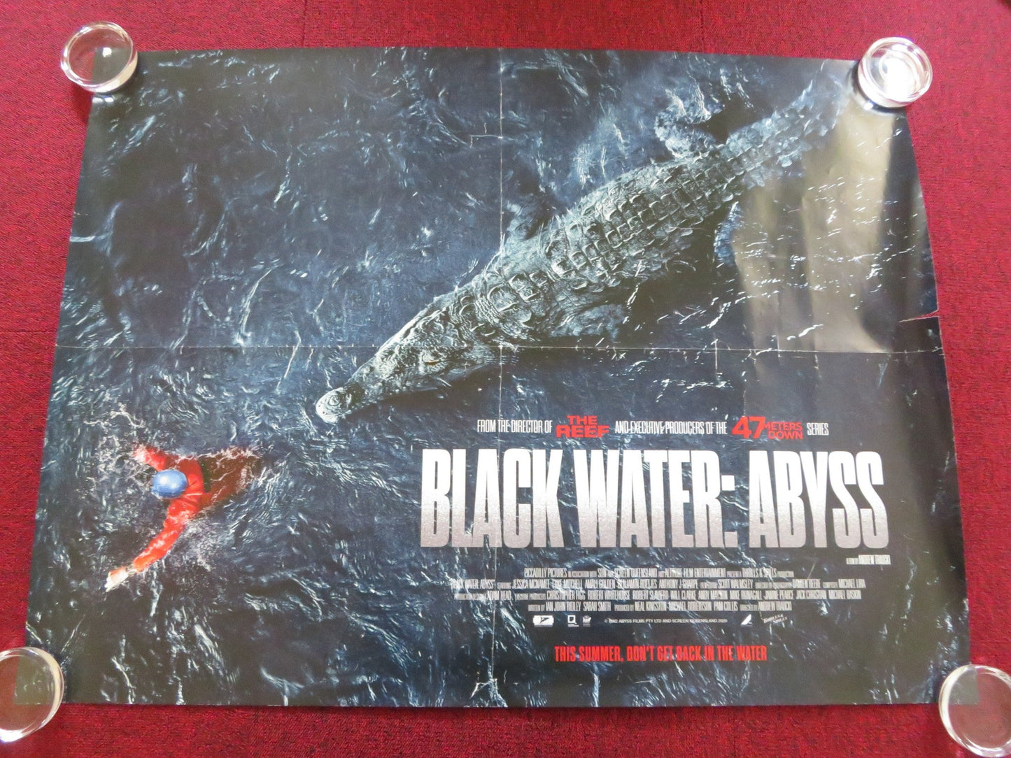 BLACK WATER: ABYSS UK QUAD ROLLED POSTER JESSICA MCNAMEE LUKE MITCHELL 2020 Rendezvous Cinema Movie posters