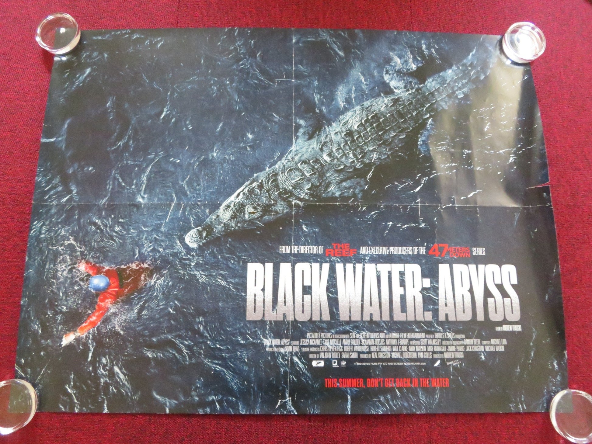 BLACK WATER: ABYSS UK QUAD ROLLED POSTER JESSICA MCNAMEE LUKE MITCHELL 2020 Rendezvous Cinema Movie posters