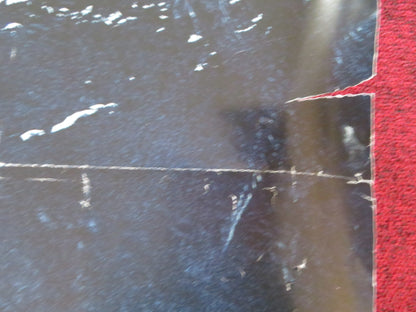 BLACK WATER: ABYSS UK QUAD ROLLED POSTER JESSICA MCNAMEE LUKE MITCHELL 2020 Rendezvous Cinema Movie posters