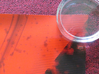 BLACK WIDOW - B US ONE SHEET ROLLED POSTER SCARLETT JOHANSSON FLORENCE PUGH 2021 Rendezvous Cinema Movie posters