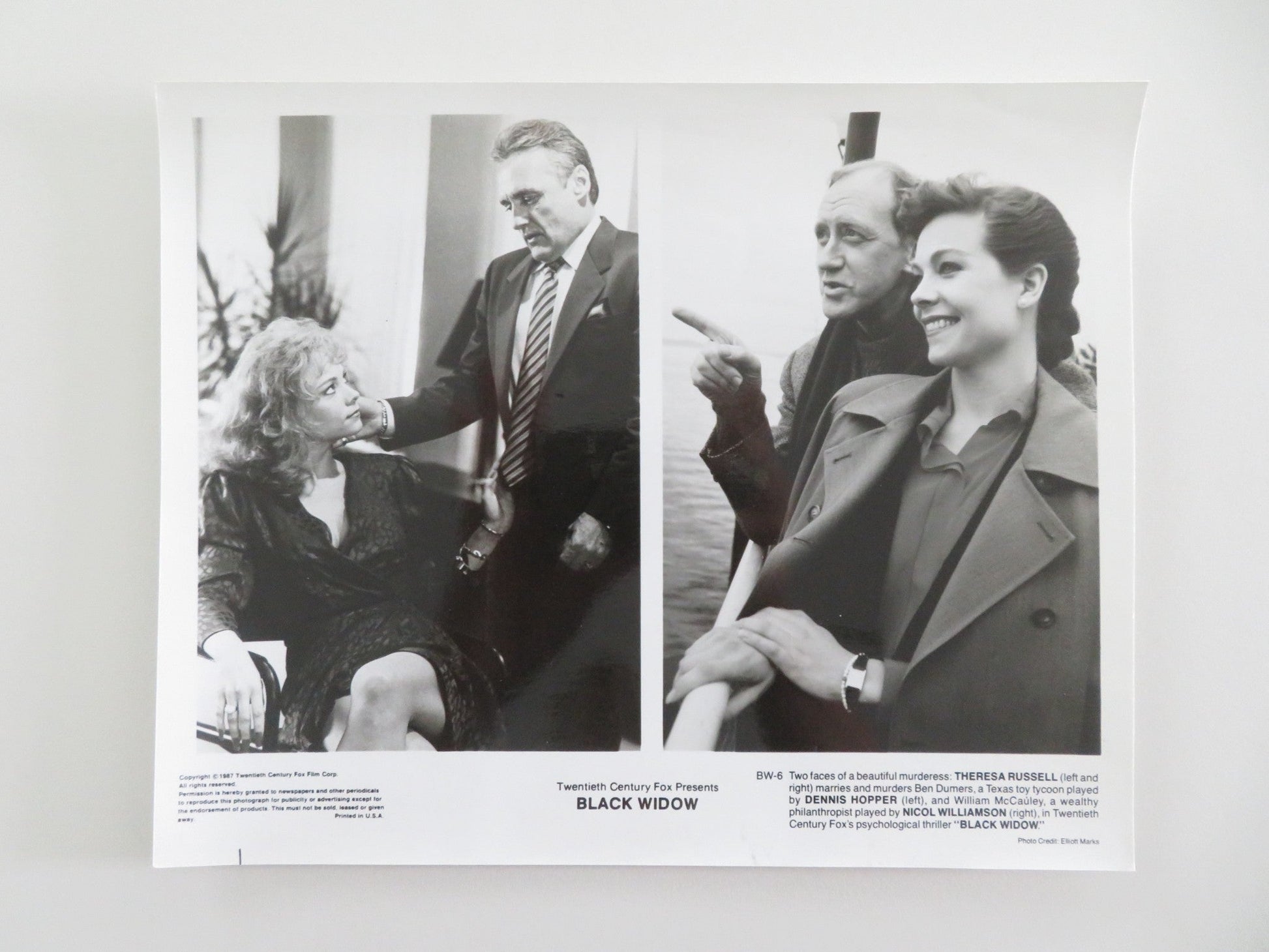 BLACK WIDOW MOVIE STILL PHOTO DENNIS HOPPER THERESA RUSSELL 1987 Movie posters