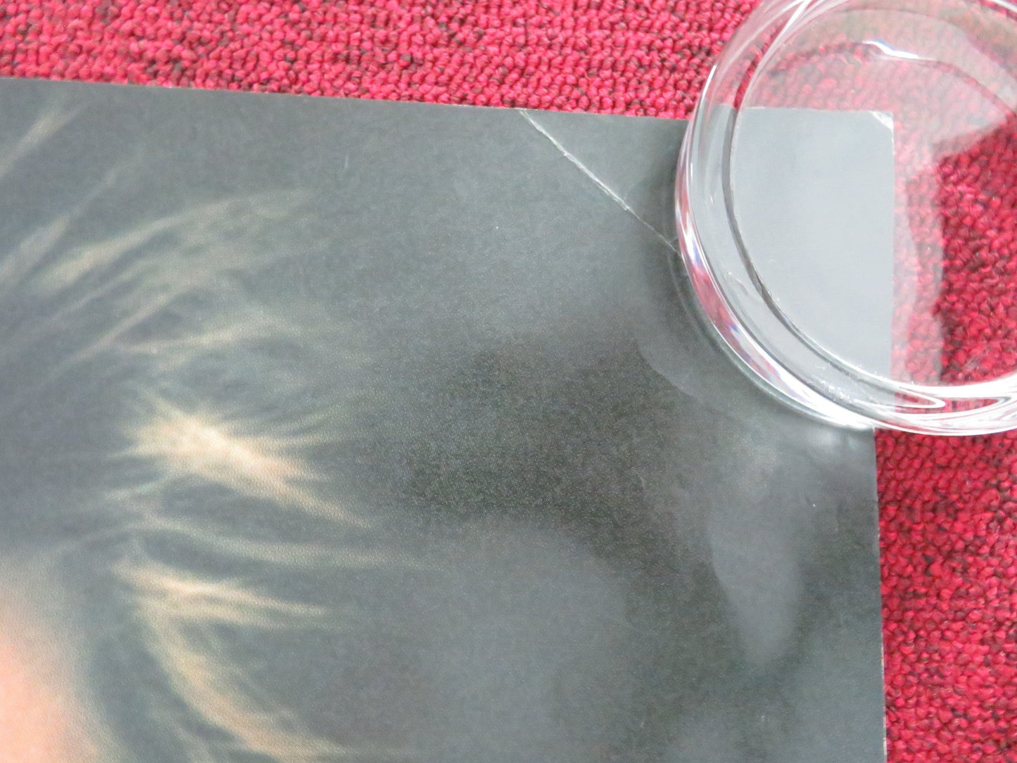 BLACK WIDOW UK QUAD ROLLED POSTER DEBRA WINGER DENNIS HOPPER 1987 Movie posters