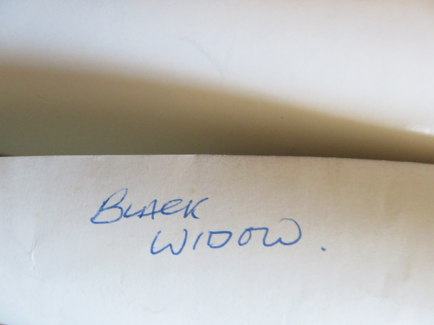 BLACK WIDOW VHS VIDEO POSTER ROLLED DEBRA WINGER THERESA RUSSELL 1987 Rendezvous Cinema Movie posters