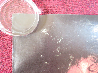 BLACK WIDOW VHS VIDEO POSTER ROLLED DEBRA WINGER THERESA RUSSELL 1987 Rendezvous Cinema Movie posters