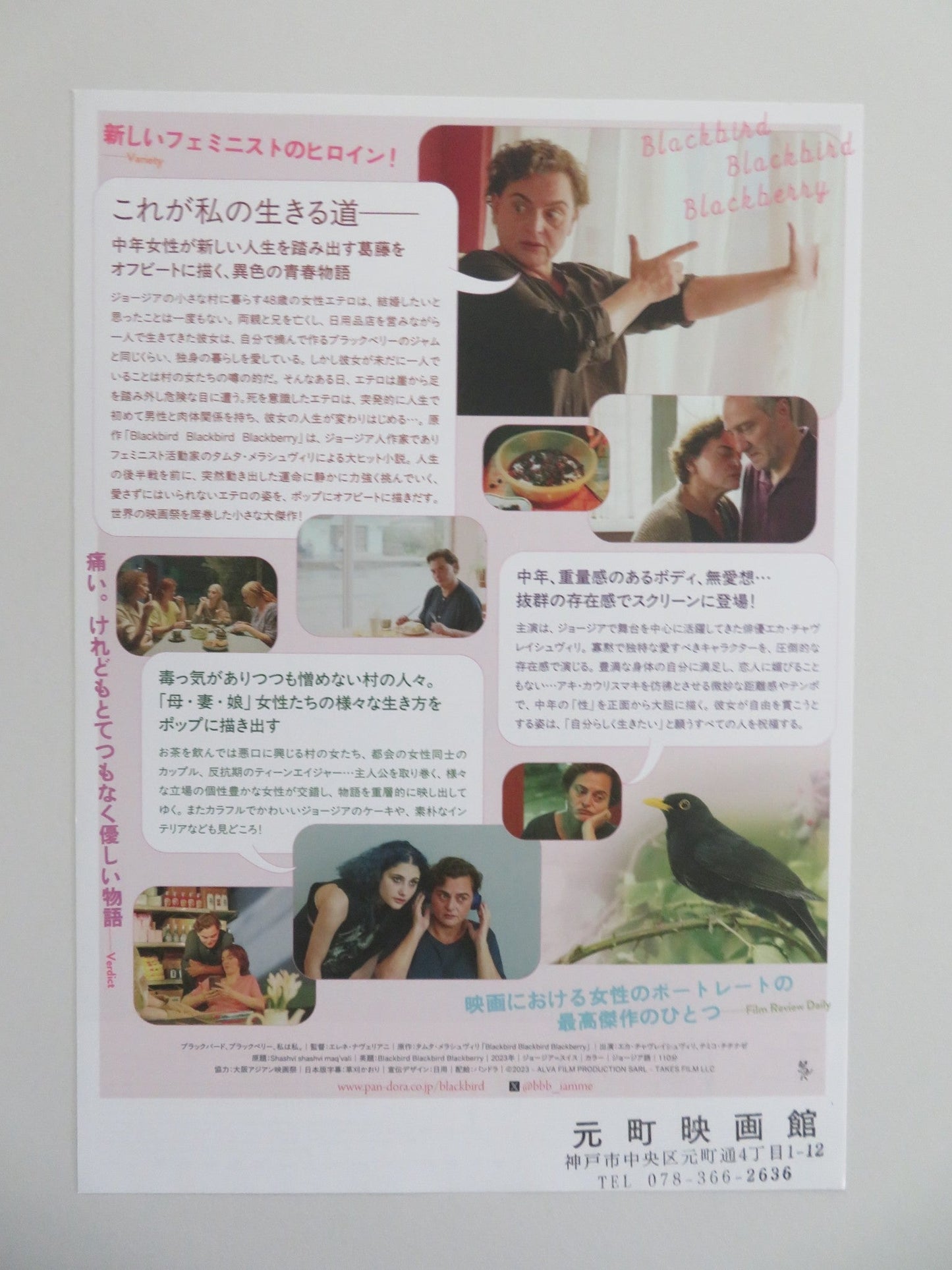 BLACKBIRD BLACKBIRD BLACKBERRY JAPANESE CHIRASHI (B5) POSTER CHAVLEISHVILI 2023 Movie posters