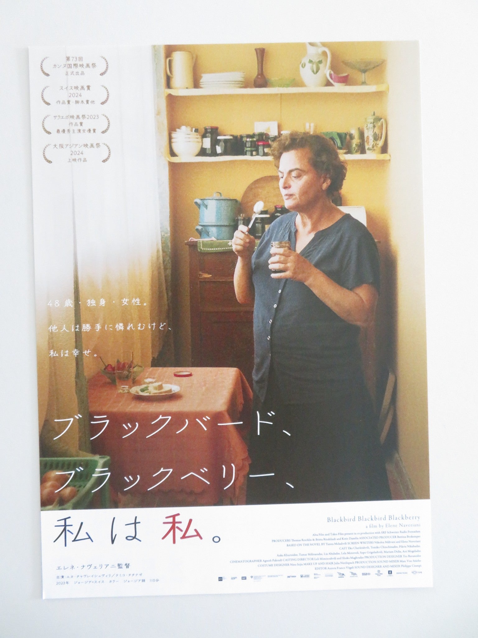 BLACKBIRD BLACKBIRD BLACKBERRY JAPANESE CHIRASHI (B5) POSTER CHAVLEISHVILI 2023 Movie posters