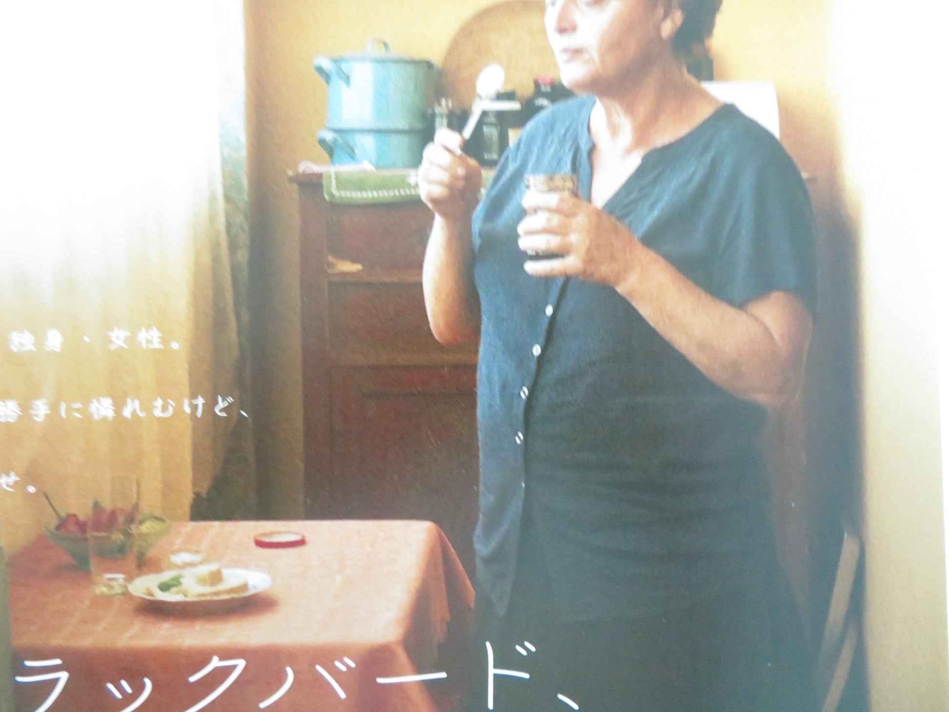 BLACKBIRD BLACKBIRD BLACKBERRY JAPANESE CHIRASHI (B5) POSTER CHAVLEISHVILI 2023 Movie posters