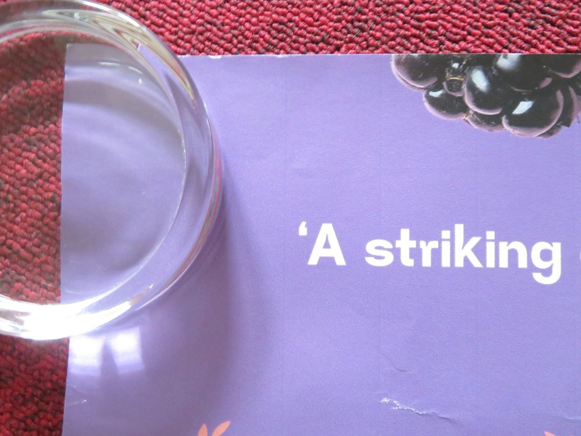 BLACKBIRD BLACKBIRD BLACKBERRY UK QUAD ROLLED POSTER EKA CHAVLEISHVILI 2023 Rendezvous Cinema Movie posters