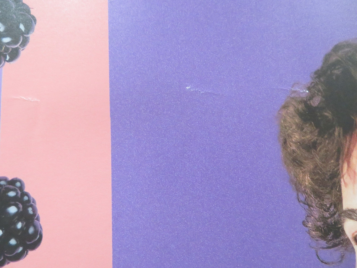 BLACKBIRD BLACKBIRD BLACKBERRY UK QUAD ROLLED POSTER EKA CHAVLEISHVILI 2023 Rendezvous Cinema Movie posters