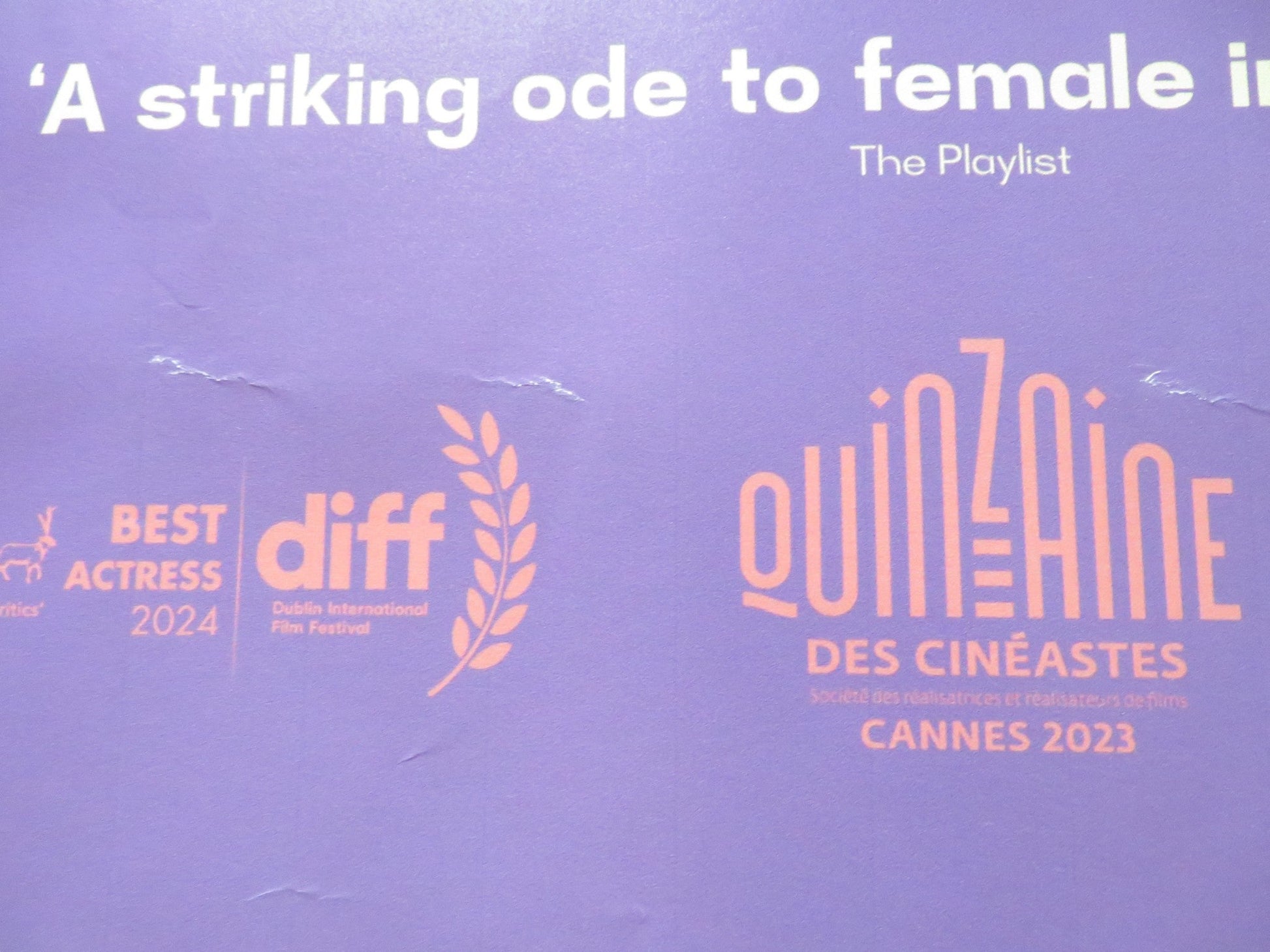 BLACKBIRD BLACKBIRD BLACKBERRY UK QUAD ROLLED POSTER EKA CHAVLEISHVILI 2023 Rendezvous Cinema Movie posters