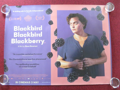 BLACKBIRD BLACKBIRD BLACKBERRY UK QUAD ROLLED POSTER EKA CHAVLEISHVILI 2023 Rendezvous Cinema Movie posters